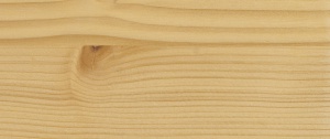 Vzorek dřeviny - smrk (bezbarvý)